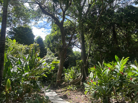 Hotel Alizees Morere主图