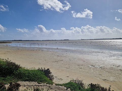 Larnaka Salt Lake-拉纳加必去景点