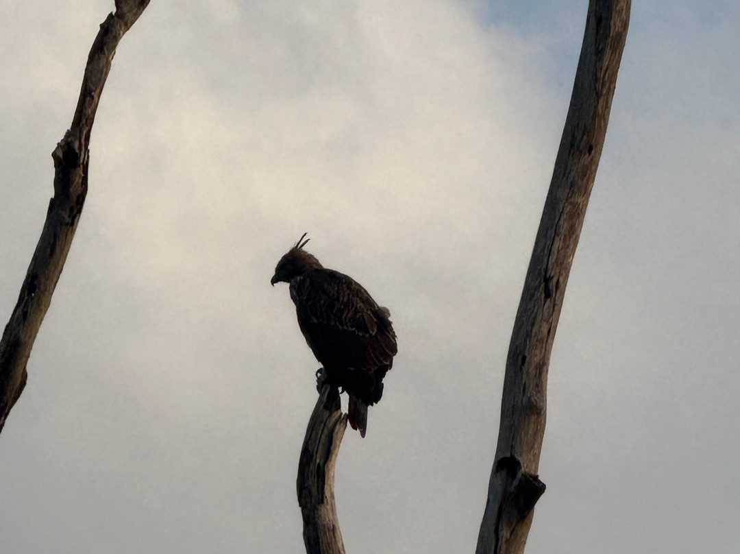 Udawalawe Safari Tours-乌达瓦拉维国家公园必去景点