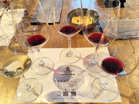 Bodegas Manzanos Haro-哈罗必去景点