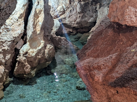 Lawson's Original Yucatan Excursions-Progreso必去景点