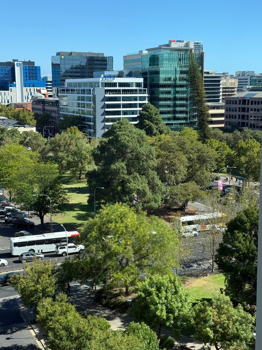 阿德莱德铂尔曼酒店-酒店景观