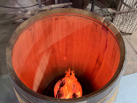 Colchagua Wine Tours-圣克鲁斯必去景点