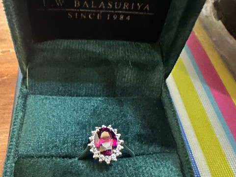 E.W. Balasuriya-康提必去景点