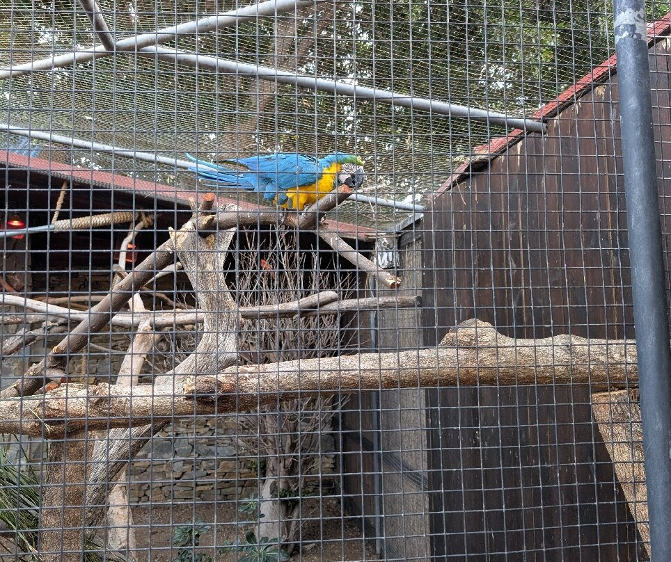 Selwo Marina-班纳玛德纳必去景点