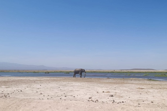 Nature Insight Safaris-内罗毕必去景点