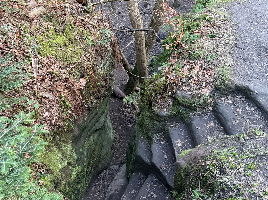 Dunino Den-圣安德鲁斯必去景点