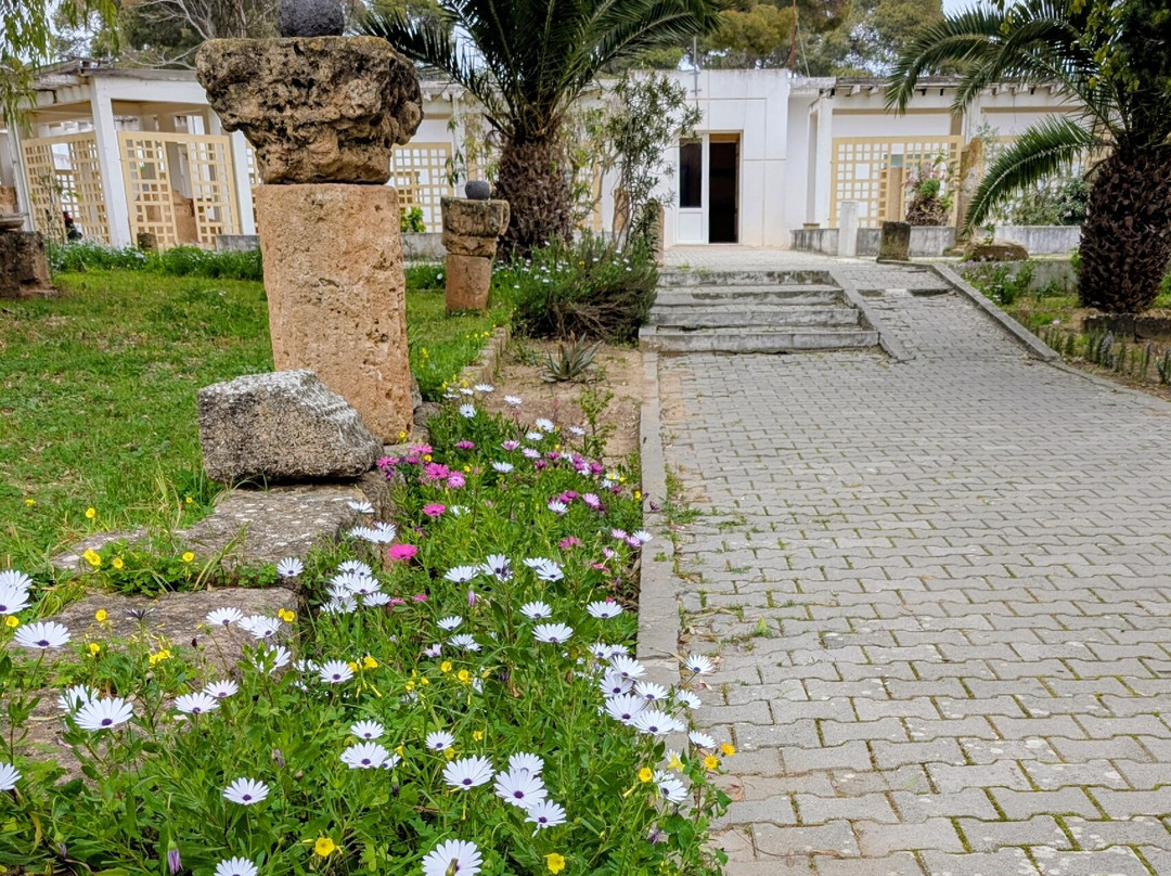 Utica-比塞大必去景点