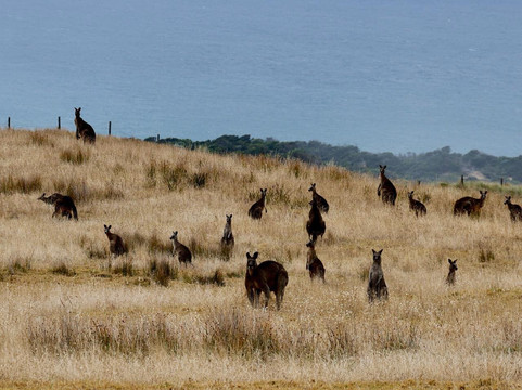 Edelweiss Bike Travel-密敏必去景点