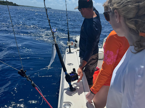 Gofishvi-Kingshill必去景点