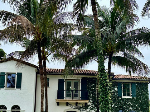 西棕榈滩市中心-西棕榈滩必去景点