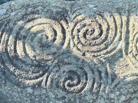 Mary Gibbons Tours-都柏林郡必去景点