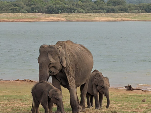 Travel Now Sri Lanka-科伦坡必去景点