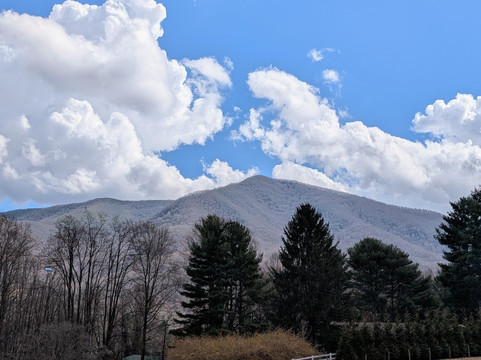 Winchester Creek Farm-韦恩斯维尔必去景点