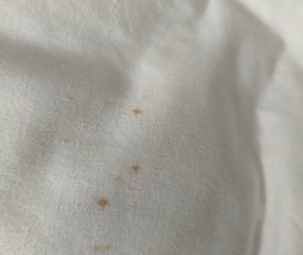 科尔斯登庄园和高尔夫俱乐部主图