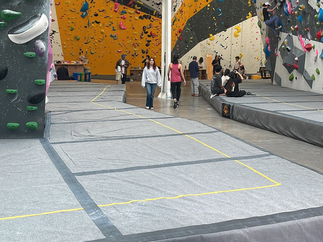 Adamanta Bouldering-墨西哥城必去景点