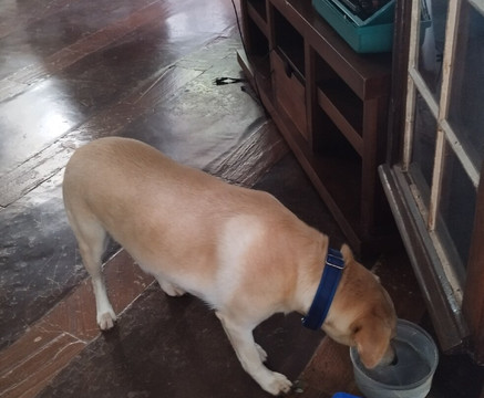 Pousada Cabanas No Mundo主图