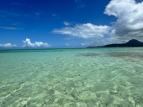 Belinda Boat Tour-贝尔马尔必去景点