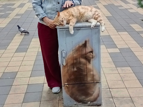 Square "Kotofeinya"-泽列诺格拉茨克必去景点