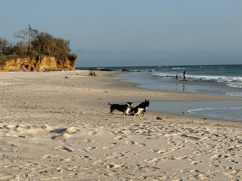 Vallarta Coconut Transfer-瓦拉塔港必去景点