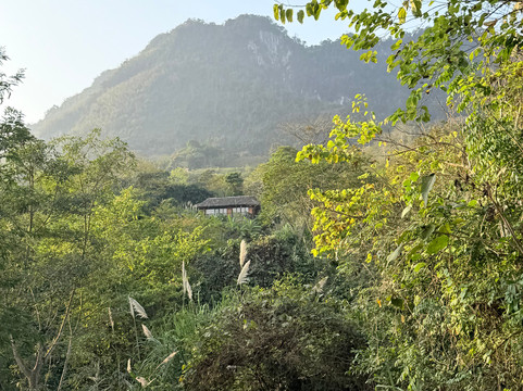 阿瓦娜度假村主图