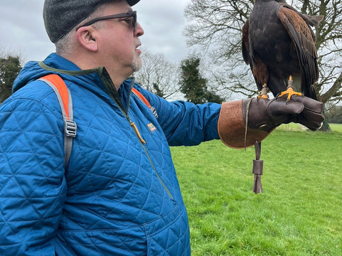 Hawkeye School of Falconry-基尔肯尼必去景点