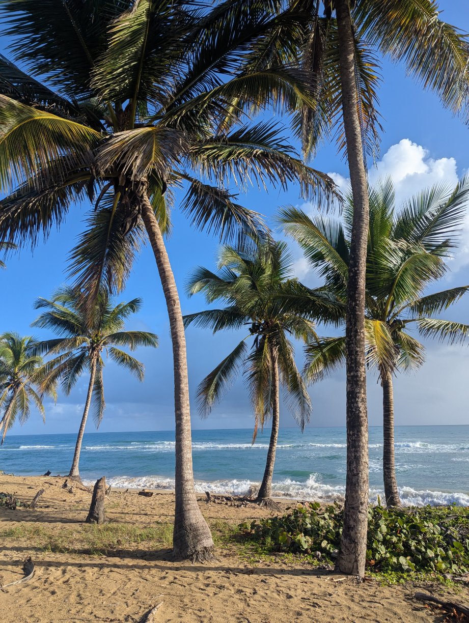 Surfbreak Cabarete B&B Surf And Yoga-官方