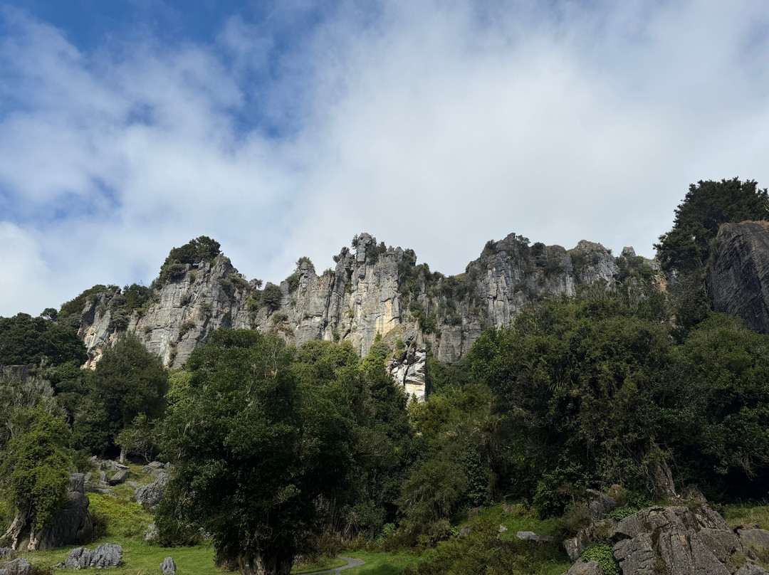 Hairy Feet Scenic Film Location Tour Waitomo-Piopio必去景点