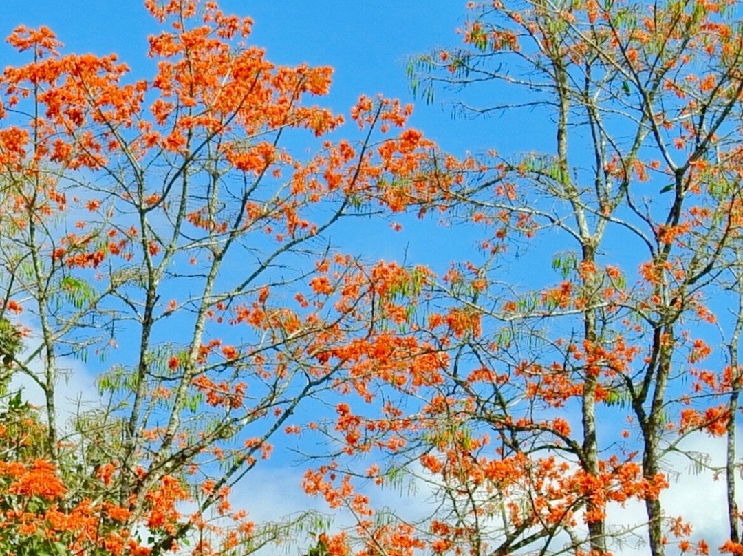 Orosi River Valley-奥罗西必去景点