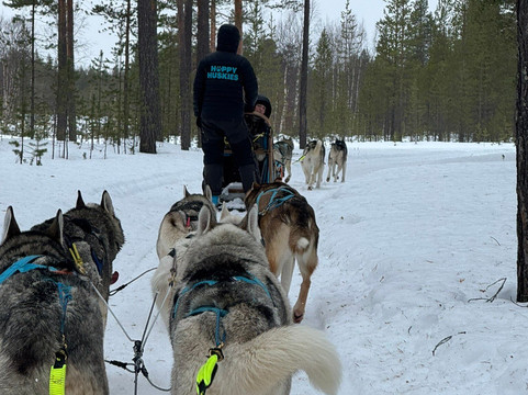 Happy Huskies-伊瓦洛必去景点