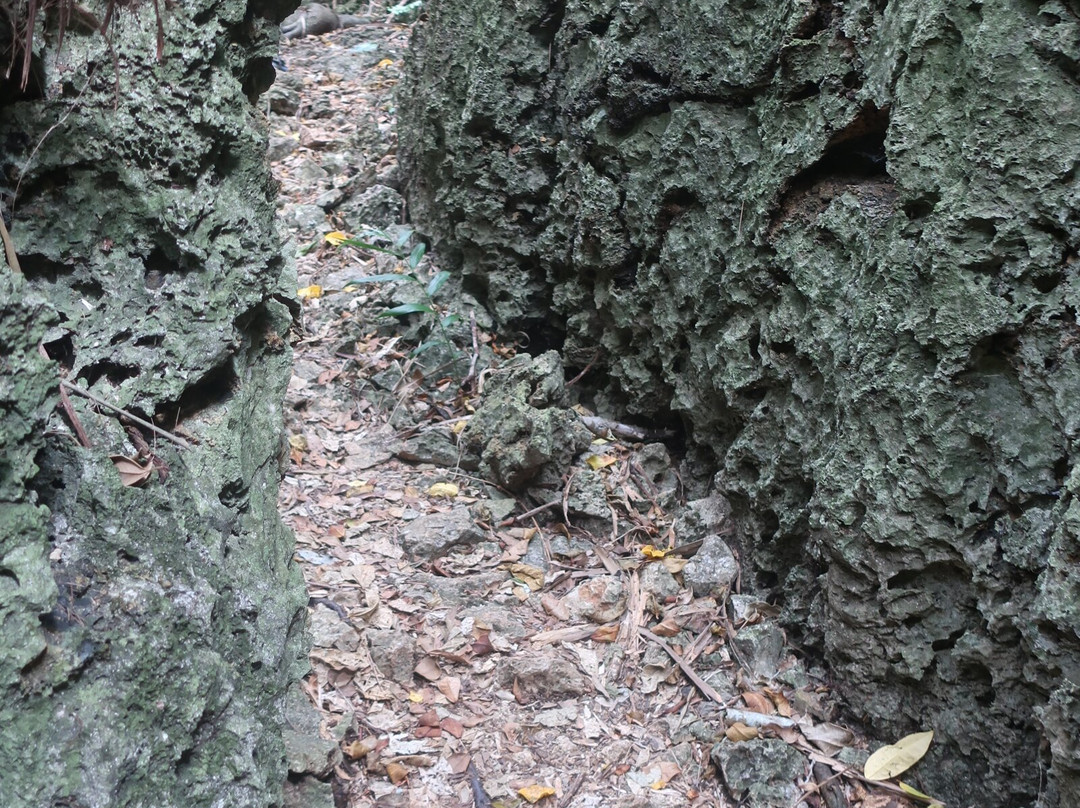 Baribari Rock-南大东村必去景点
