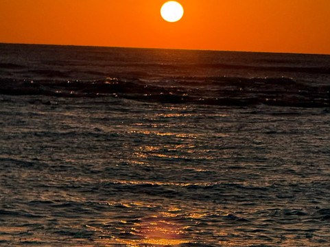 Gasparilla Boat Tours-恩格尔伍德必去景点