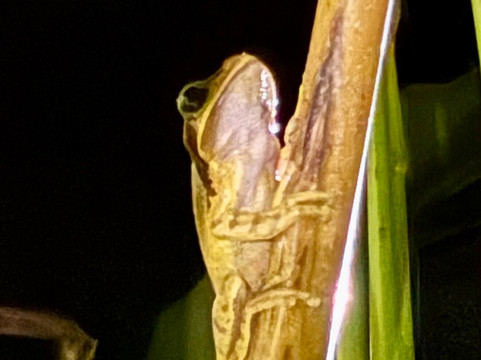 圣拉菲尔生态酒店主图