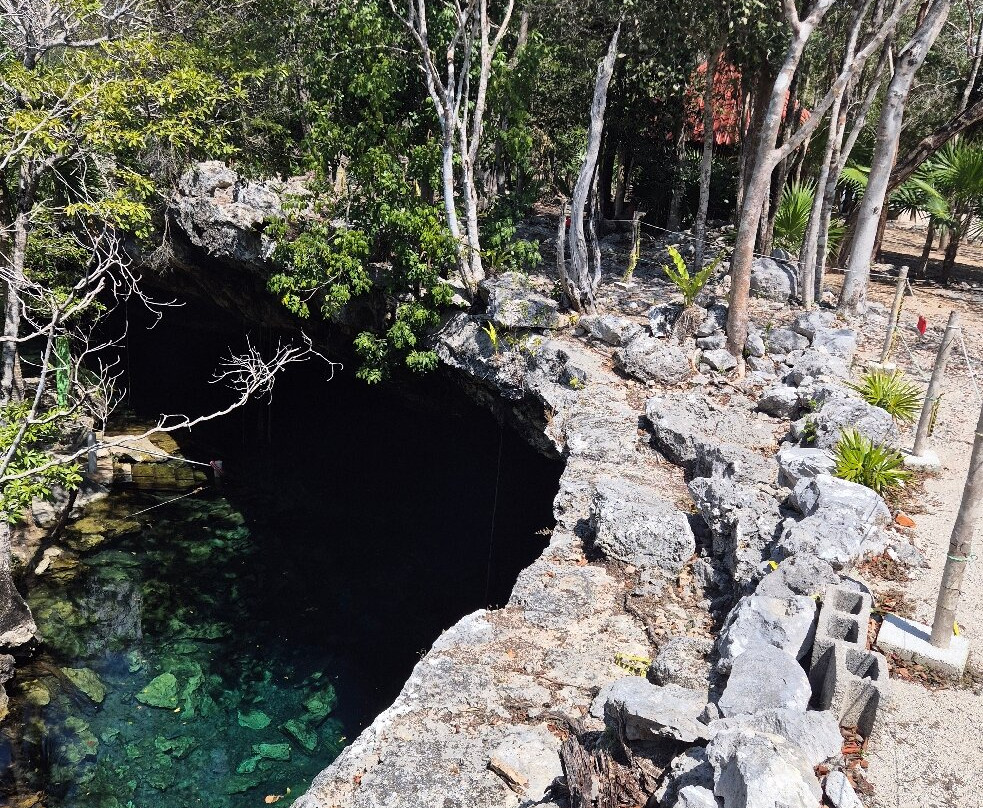 The Cenote Guy - Cenote Diving-普拉亚德尔卡曼必去景点