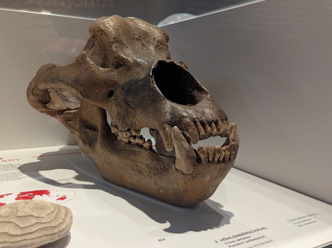 German Mining Museum-波鸿必去景点