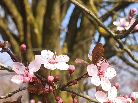 Parco Brianza Centrale-塞雷尼奥必去景点
