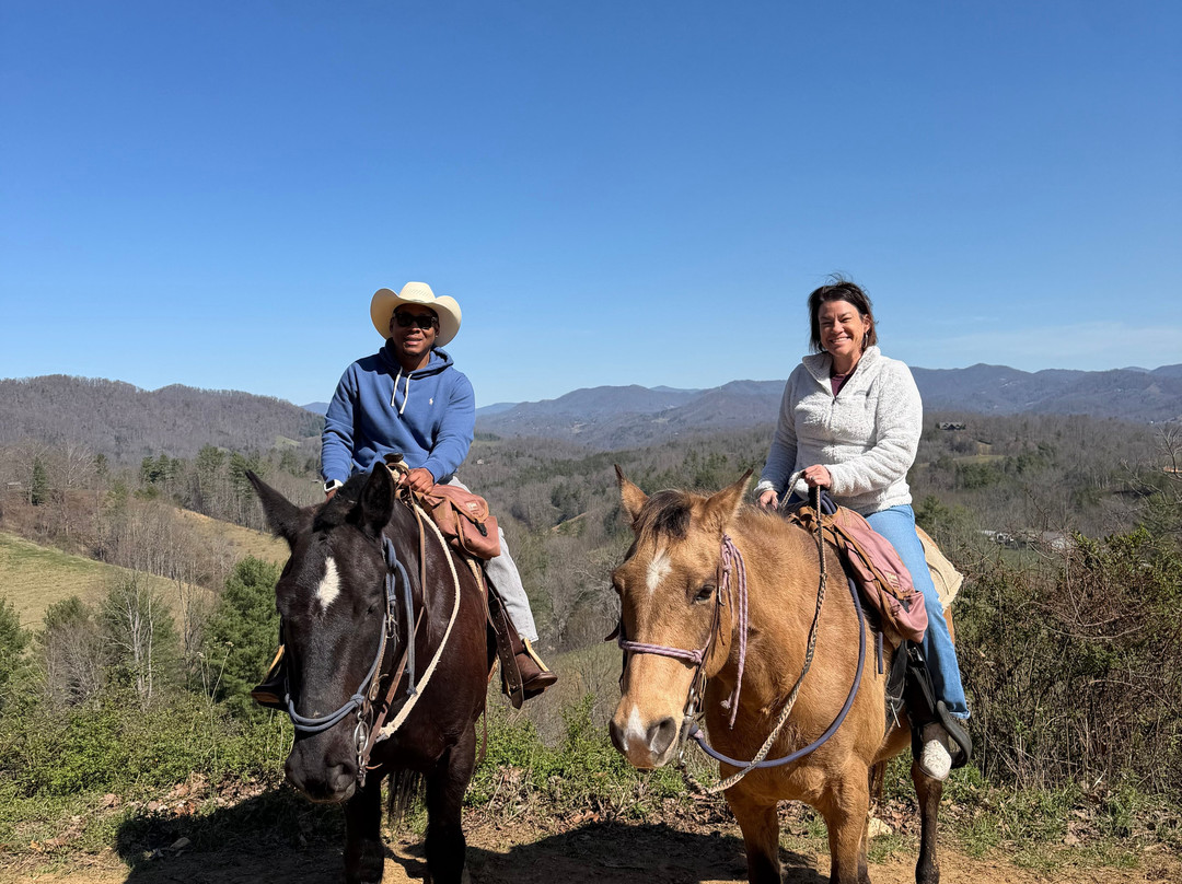 Sandy Bottom Trail Rides-Marshall必去景点