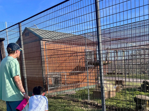 Turpentine Creek Wildlife Refuge-尤里卡斯普林斯必去景点