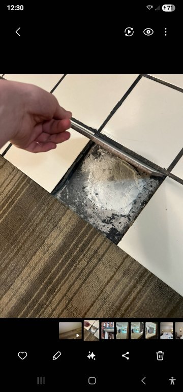 智选假日套房酒店底特律 - 乌蒂卡-客卧