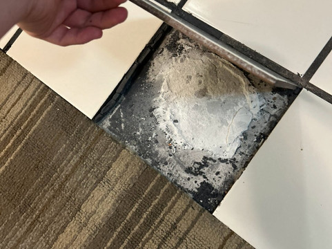 智选假日套房酒店底特律 - 乌蒂卡主图