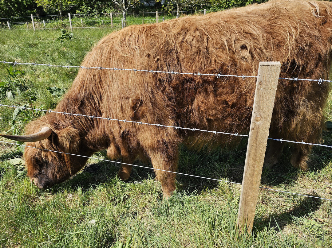 Caledonian Canal-因弗内斯必去景点