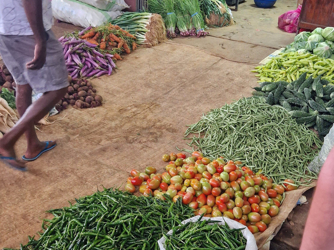 Voyager Sri Lanka by S. P. PATHIRANA (PVT) LTD-Maharagama必去景点