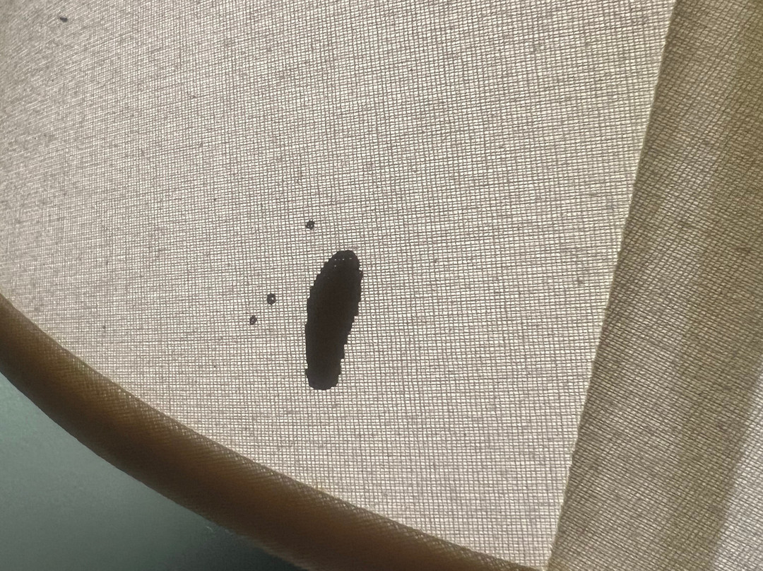 奥斯汀镇温德姆戴斯酒店主图