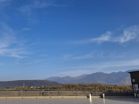 台拉登柠檬树酒店主图