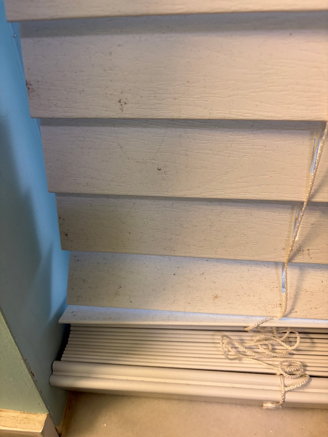 海马海滨酒店-浴室