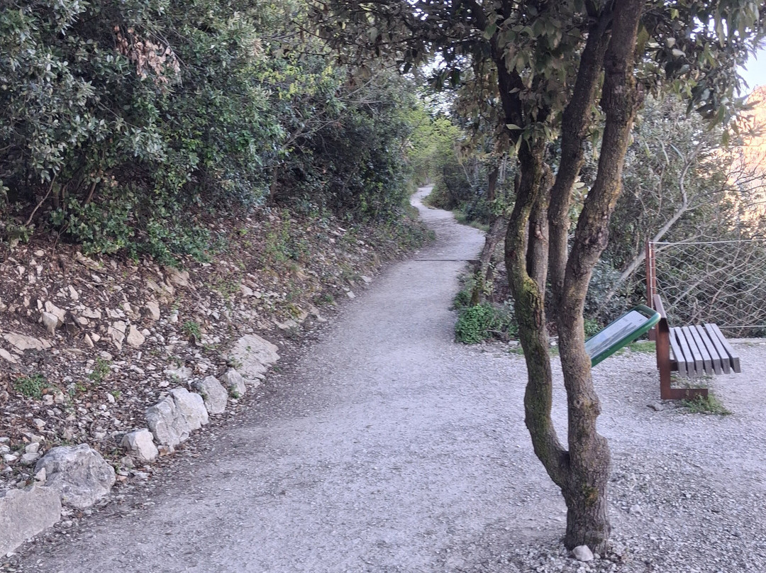 Sentiero panoramico Busatte Tempesta-托尔博莱必去景点