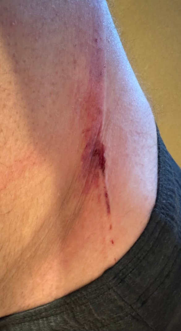 东芝加哥美洲星 酒店-官方