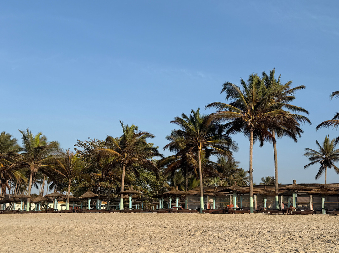 Palm Beach Resort主图