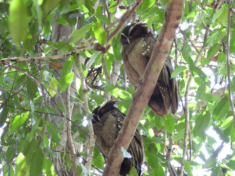 0S3 Private Tours-哈科必去景点