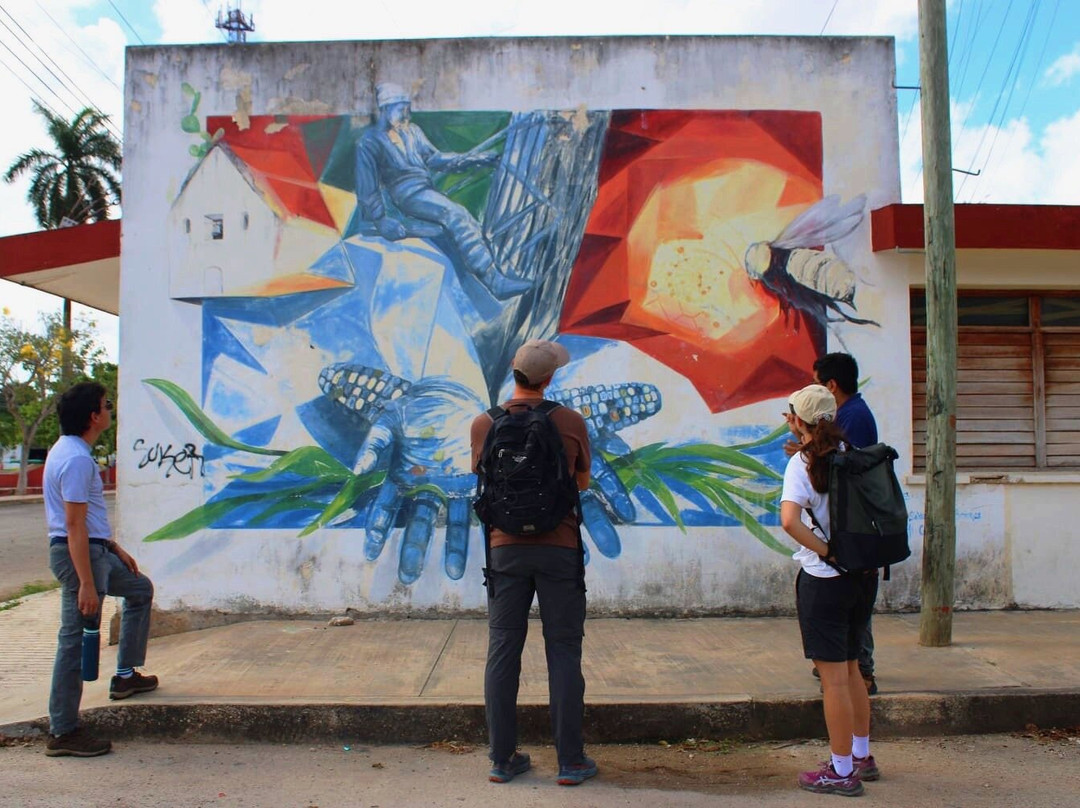 Kiichpam Kaax-Selva Bonita主图